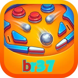 br37
